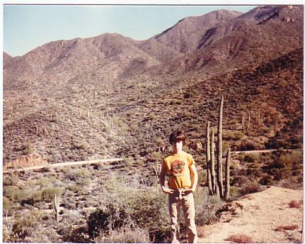 organ pipe