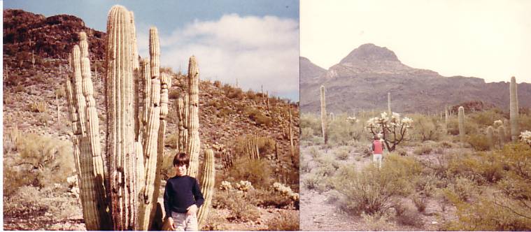 lower Sonoran Desert